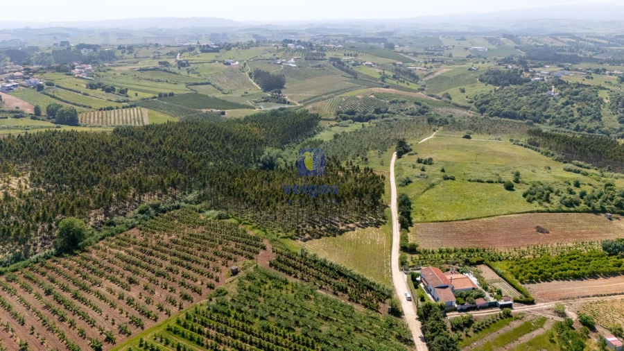 Terreno para Venda em Carvalhal Foto 27