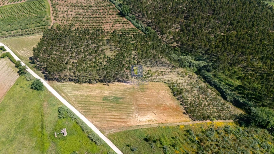 Terreno para Venda em Carvalhal Foto 5