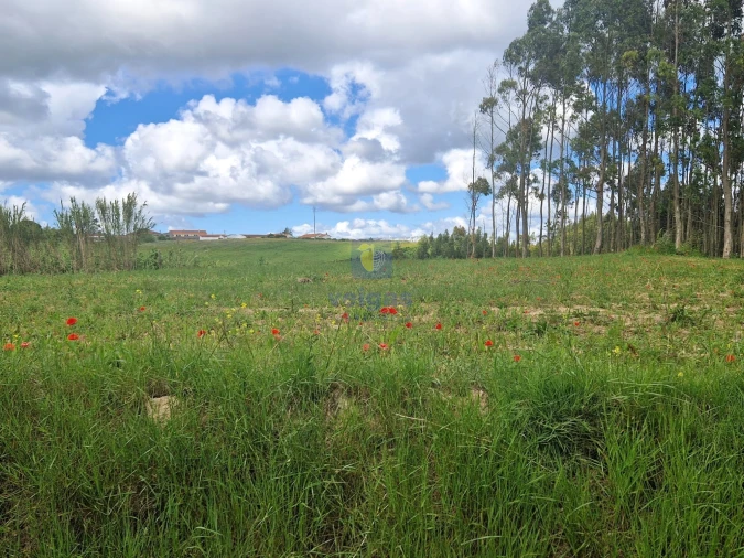 Terreno para Venda em Carvalhal Foto 8