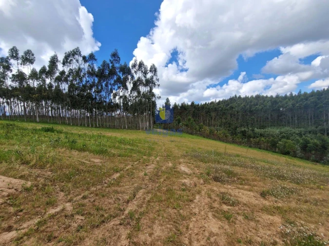 Terreno para Venda em Carvalhal Foto 16