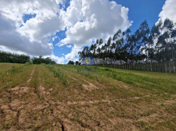 Terreno para Venda em Carvalhal Foto 17