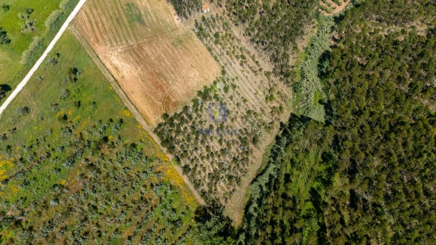 Terreno para Venda em Carvalhal Foto 25