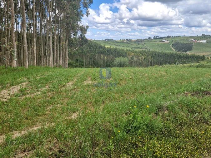 Terreno para Venda em Carvalhal Foto 9