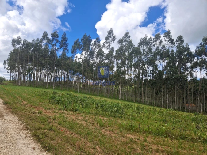 Terreno para Venda em Carvalhal Foto 21