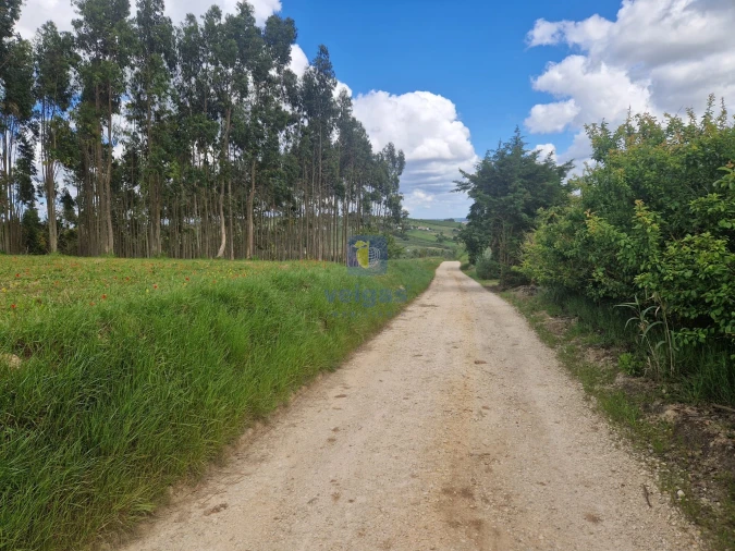 Terreno para Venda em Carvalhal Foto 3