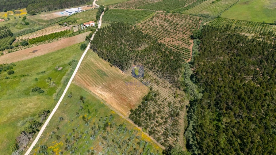 Terreno para Venda em Carvalhal