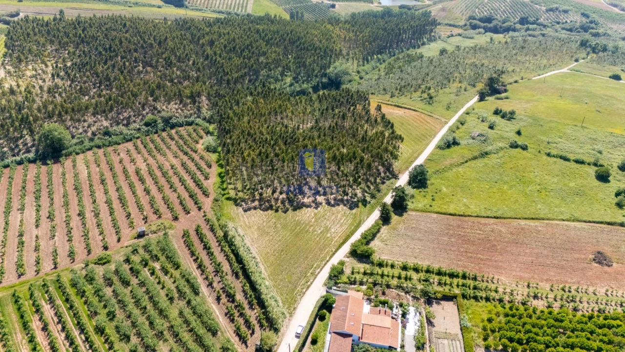 Terreno para Venda em Carvalhal Foto 7
