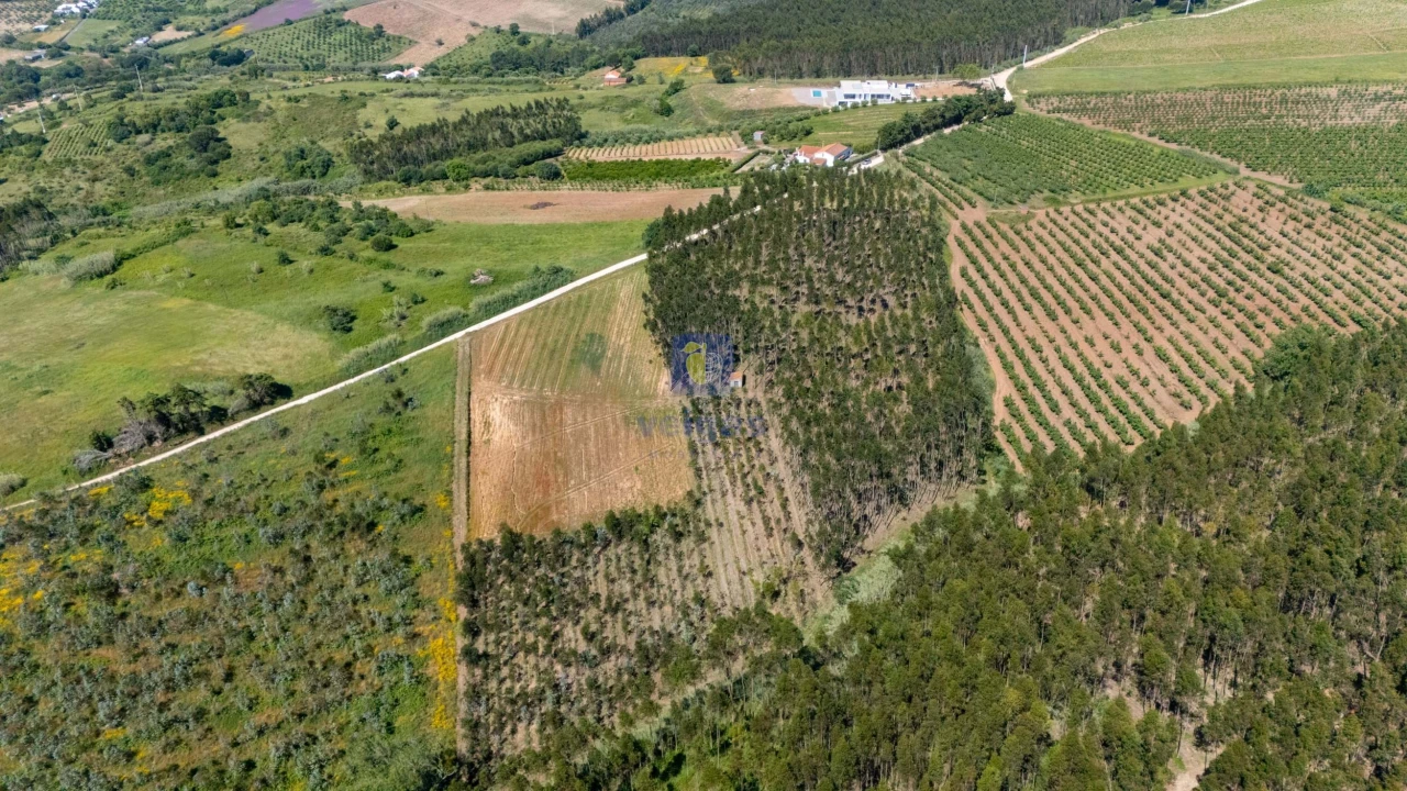 Terreno para Venda em Carvalhal Foto 2