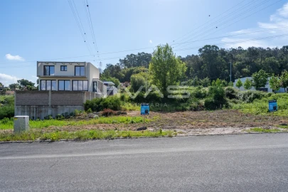 Terreno para Venda em Palmeira