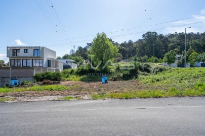 Terreno para Venda em Palmeira