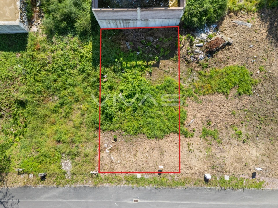 Terreno para Venda em Palmeira Foto 4