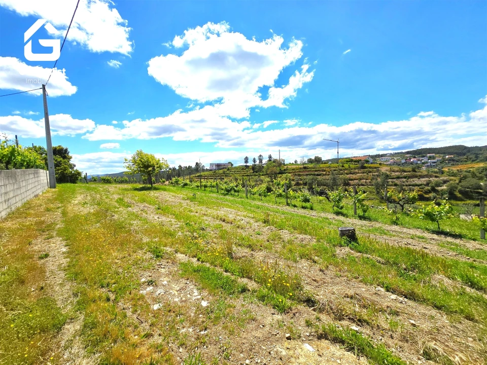 Quinta T0 para Venda em Proença-A-Nova e Peral Foto 7