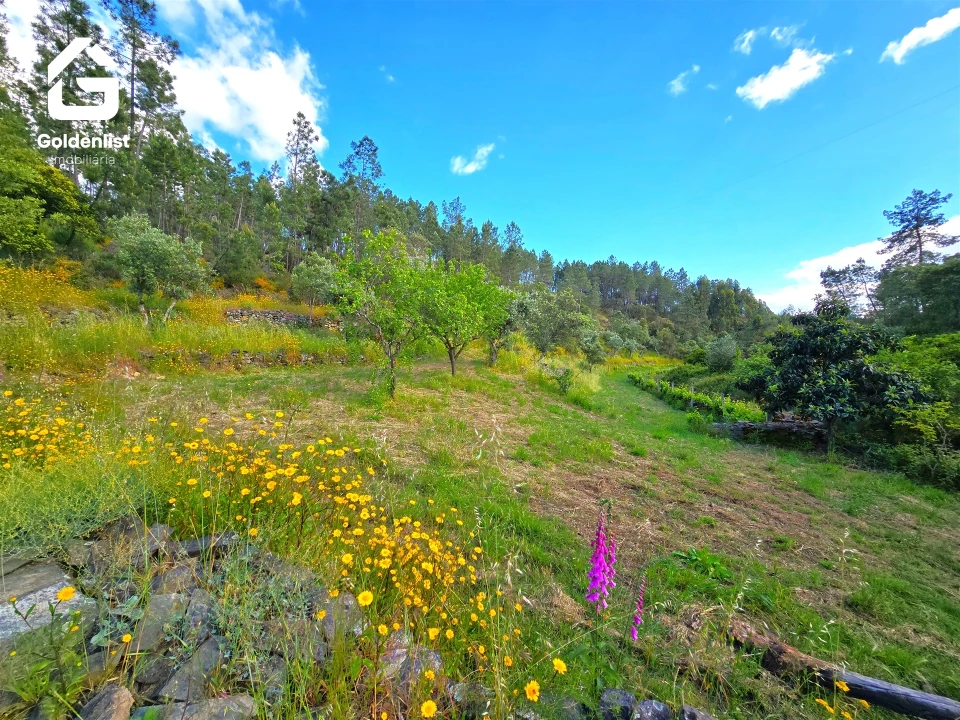 Quinta T0 para Venda em Proença-A-Nova e Peral Foto 18