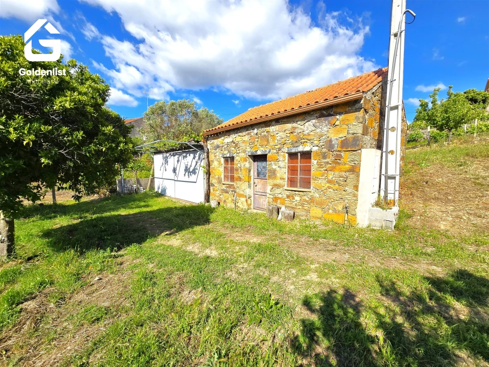 Quinta T0 para Venda em Proença-A-Nova e Peral Foto 1