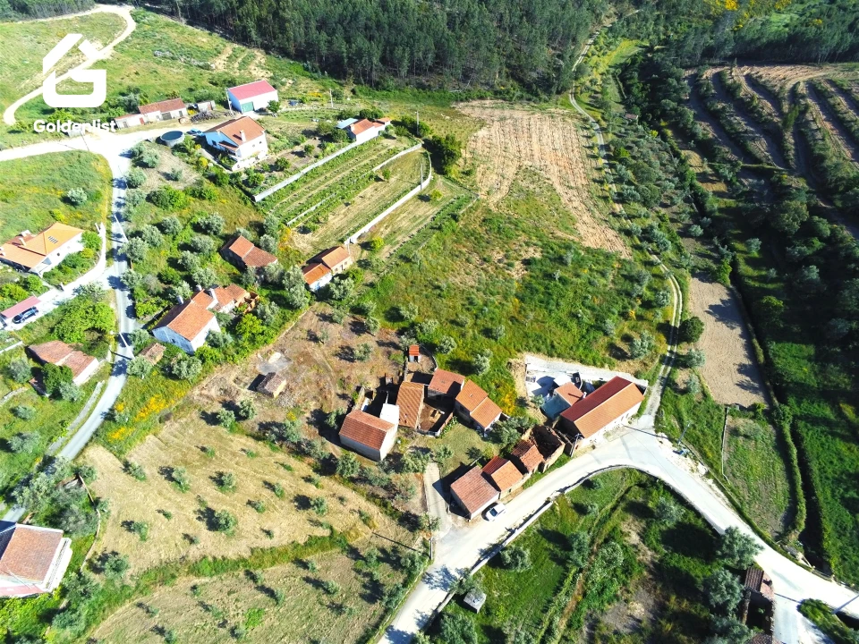 Quinta T0 para Venda em Proença-A-Nova e Peral Foto 31