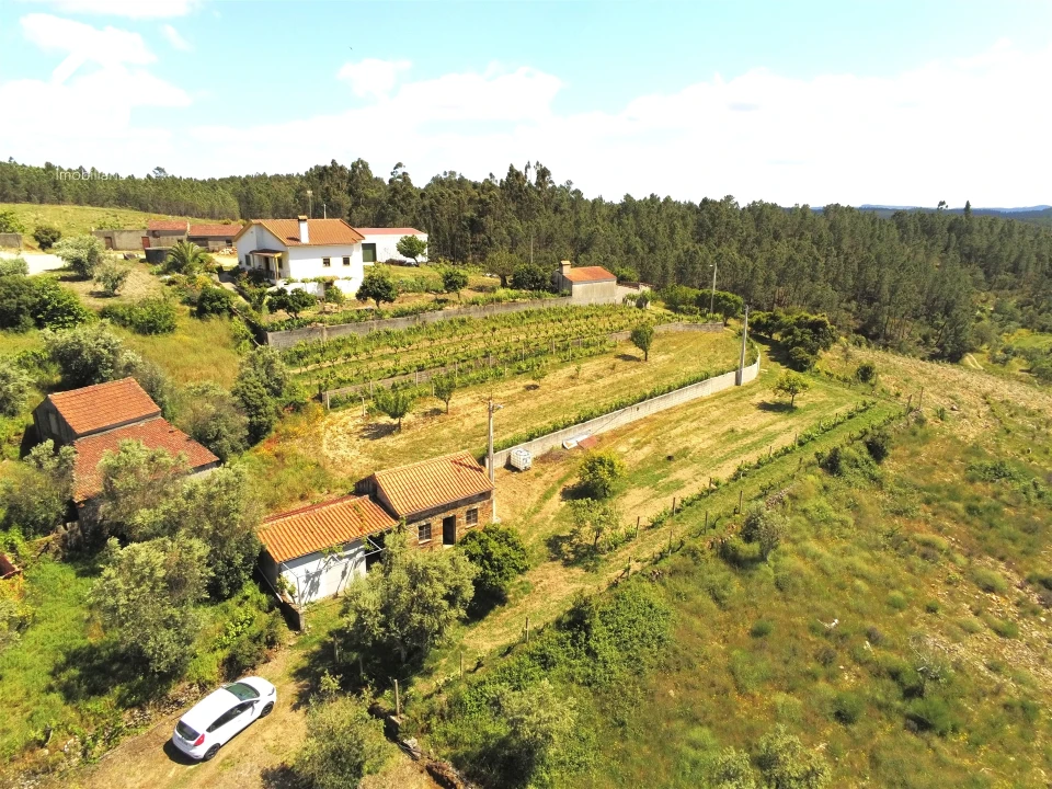 Quinta T0 para Venda em Proença-A-Nova e Peral Foto 22