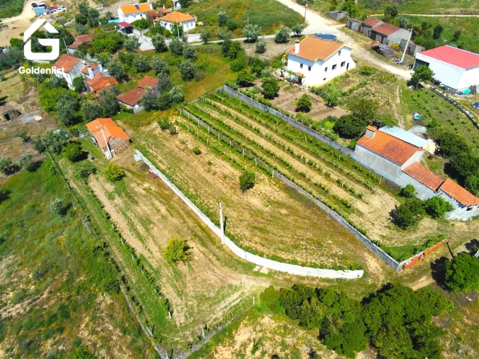 Quinta T0 para Venda em Proença-A-Nova e Peral Foto 23