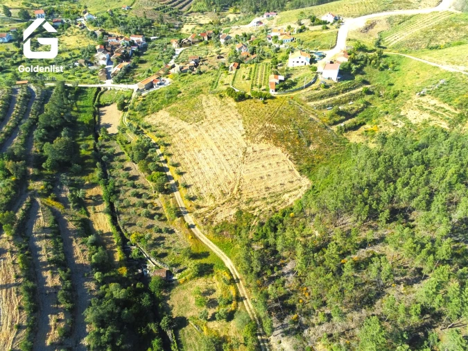 Quinta T0 para Venda em Proença-A-Nova e Peral Foto 29