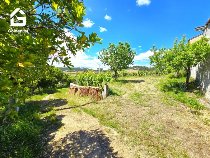 Quinta T0 para Venda em Proença-A-Nova e Peral Foto 9