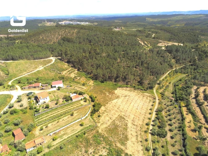 Quinta T0 para Venda em Proença-A-Nova e Peral Foto 26