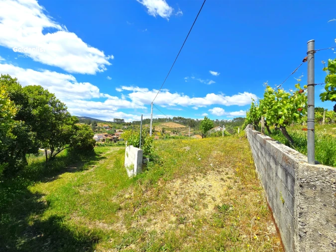 Quinta T0 para Venda em Proença-A-Nova e Peral Foto 14