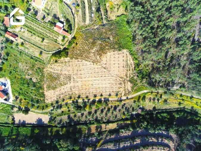 Quinta T0 para Venda em Proença-A-Nova e Peral Foto 30