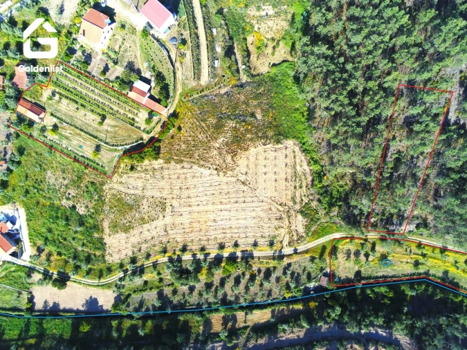 Quinta T0 para Venda em Proença-A-Nova e Peral Foto 25