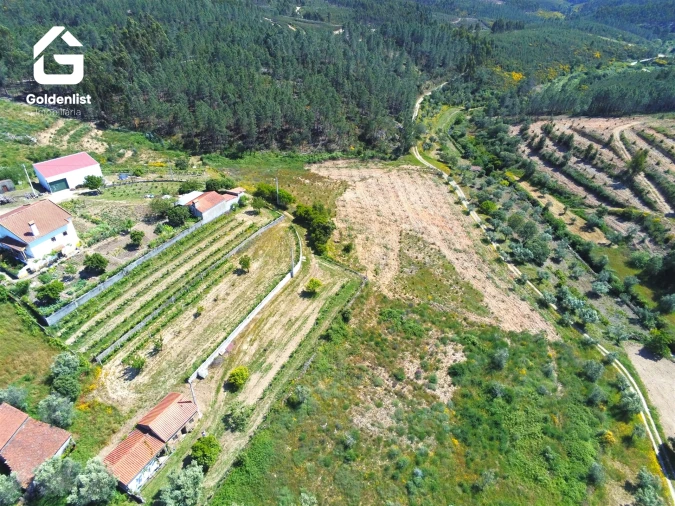 Quinta T0 para Venda em Proença-A-Nova e Peral Foto 24
