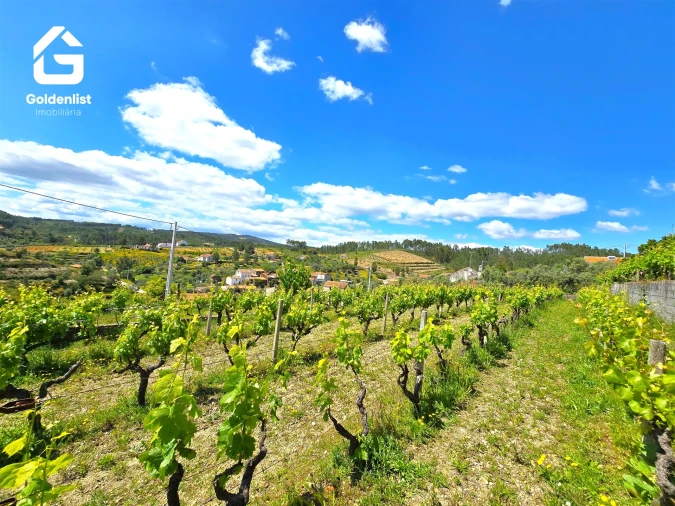 Quinta T0 para Venda em Proença-A-Nova e Peral Foto 13