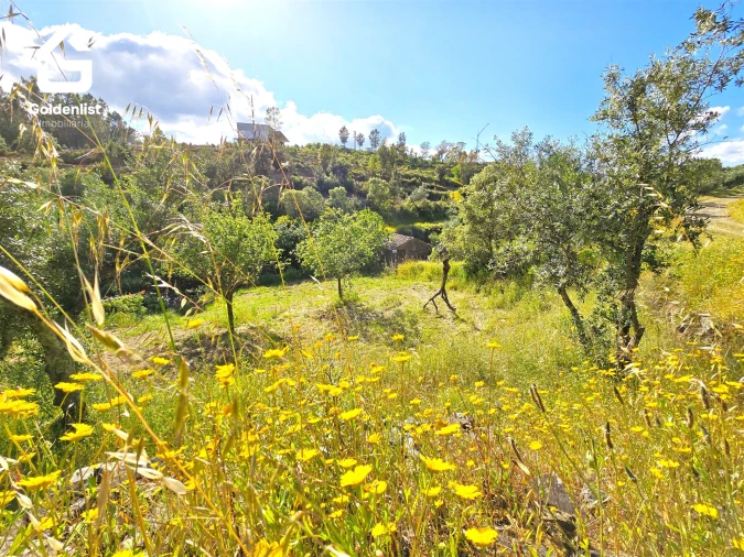 Quinta T0 para Venda em Proença-A-Nova e Peral Foto 21