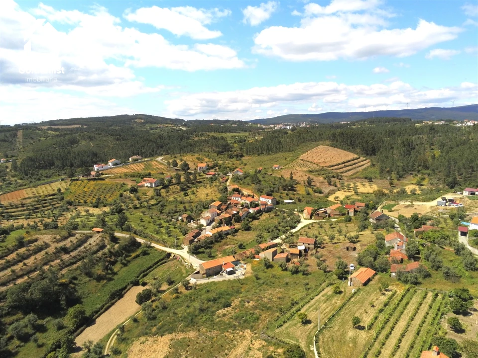 Quinta T0 para Venda em Proença-A-Nova e Peral Foto 27