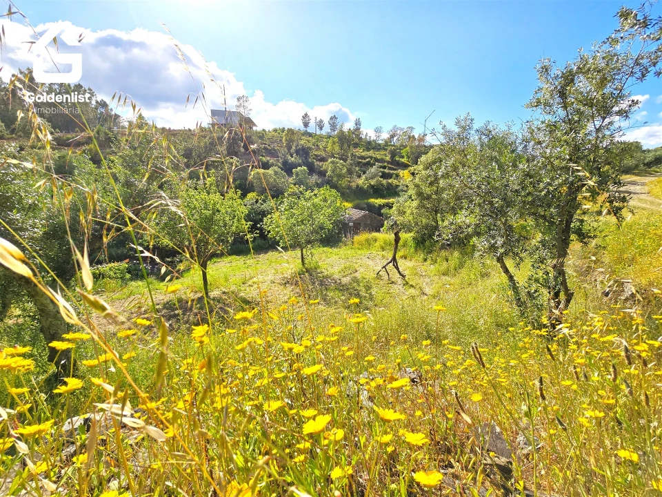 Quinta T0 para Venda em Proença-A-Nova e Peral Foto 21