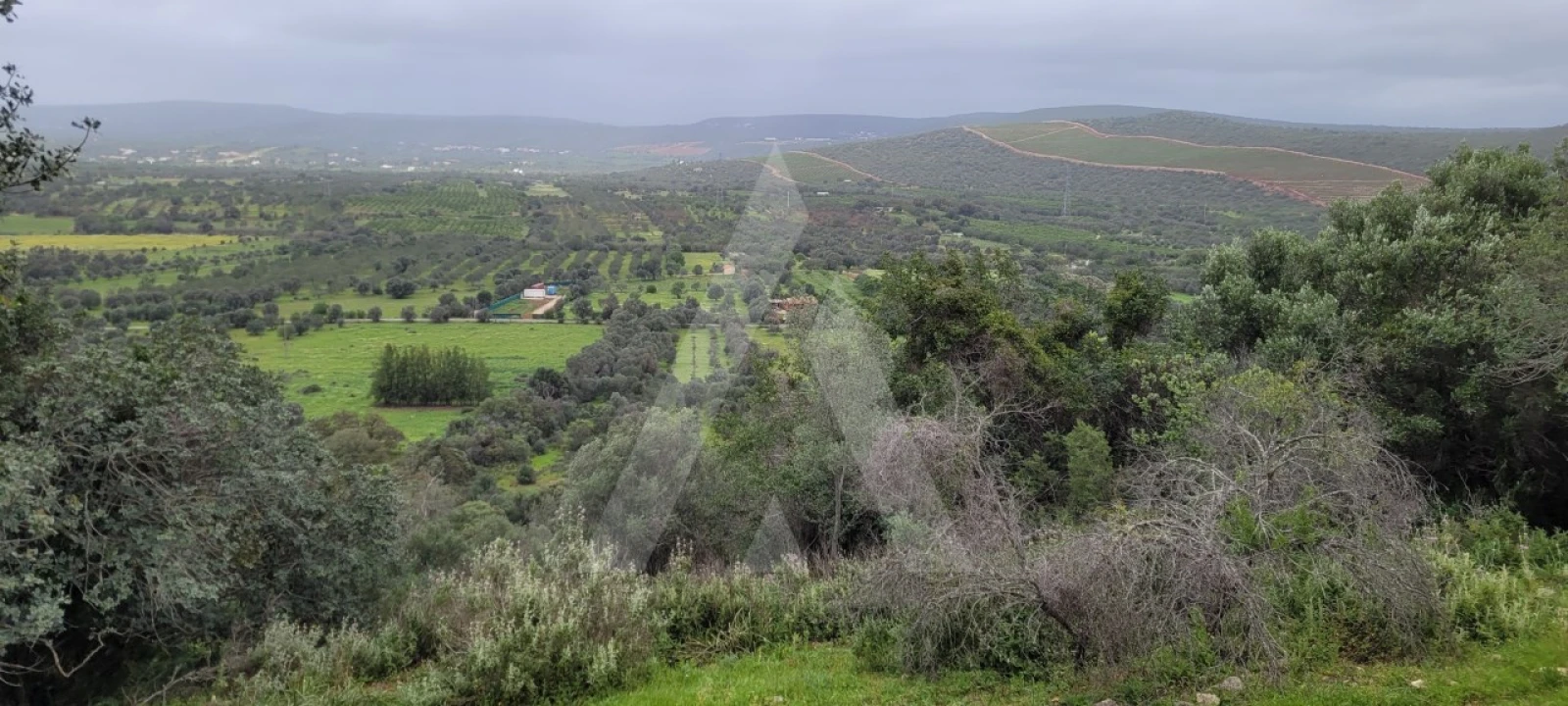 Terreno Agricola ou Rústico para Venda em Paderne Foto 1