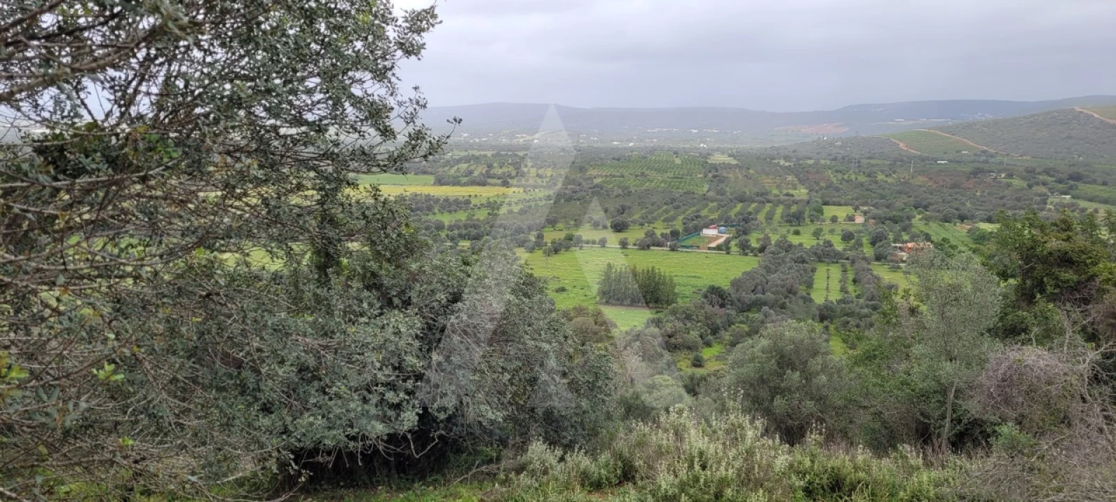 Terreno Agricola ou Rústico para Venda em Paderne Foto 2