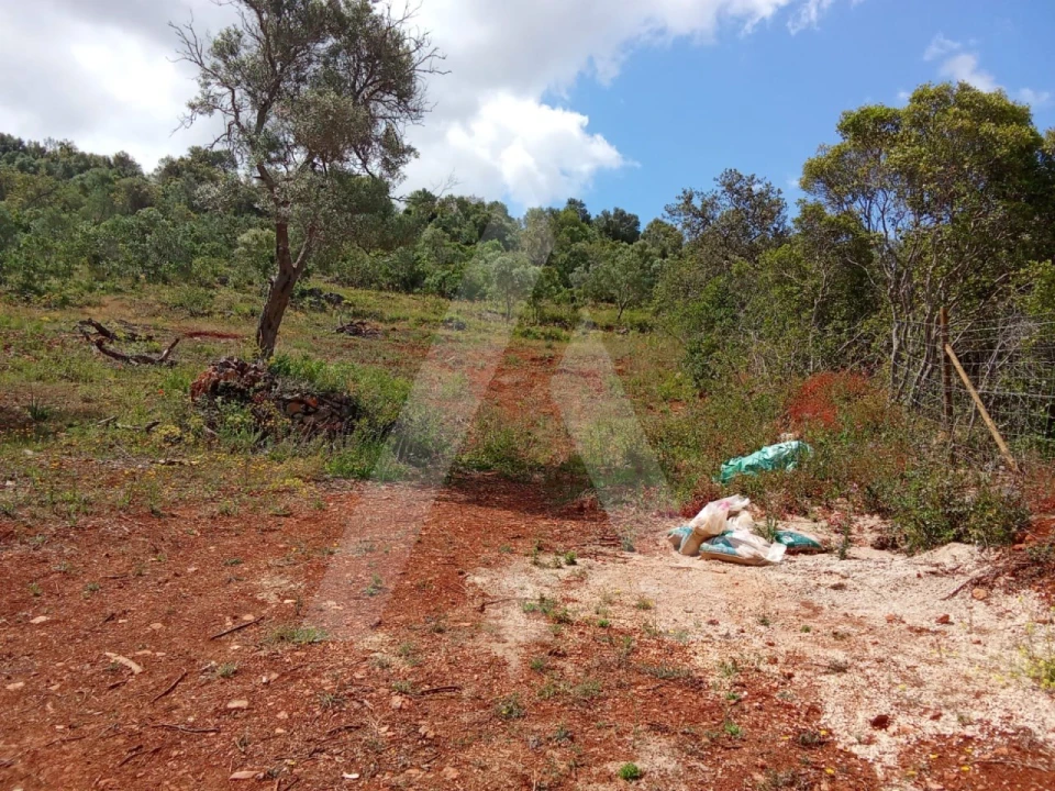 Terreno Agricola ou Rústico para Venda em Paderne Foto 4
