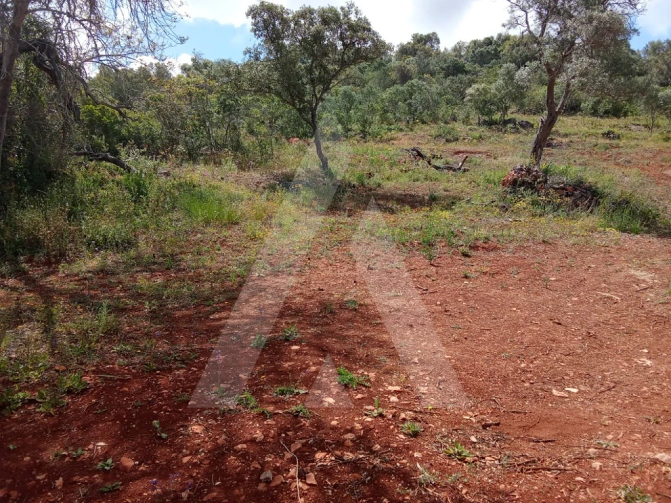 Terreno Agricola ou Rústico para Venda em Paderne Foto 5