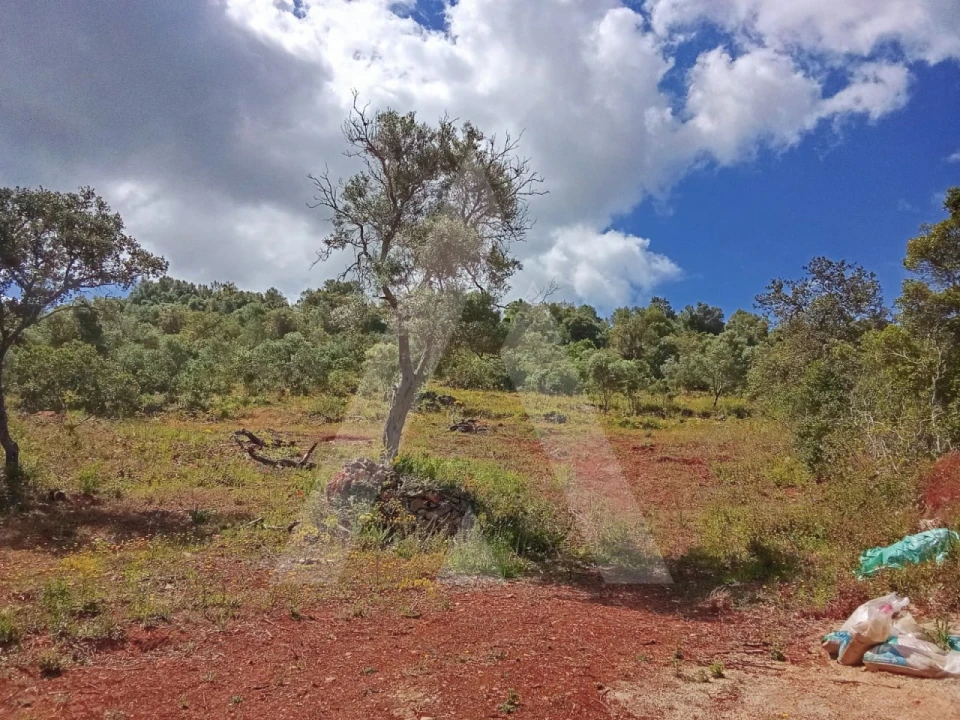 Terreno Agricola ou Rústico para Venda em Paderne Foto 15