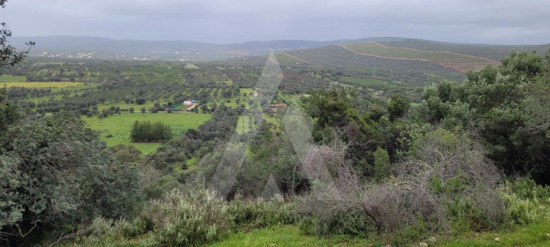 Terreno Agricola ou Rústico para Venda em Paderne