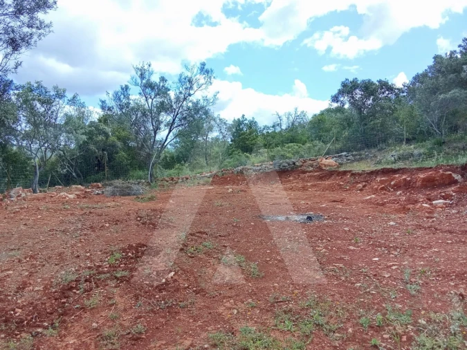Terreno Agricola ou Rústico para Venda em Paderne Foto 3