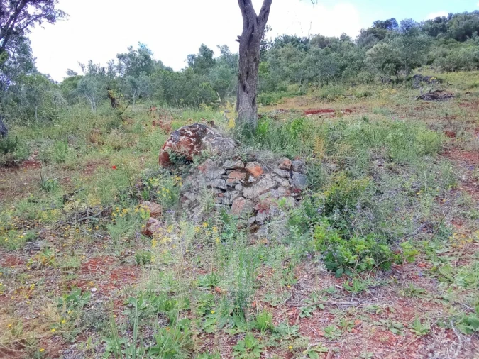 Terreno Agricola ou Rústico para Venda em Paderne Foto 6