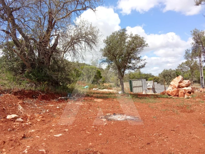 Terreno Agricola ou Rústico para Venda em Paderne Foto 7