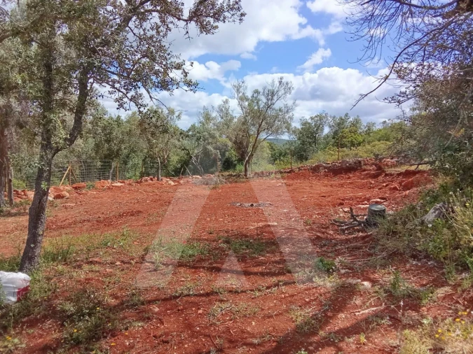 Terreno Agricola ou Rústico para Venda em Paderne Foto 11
