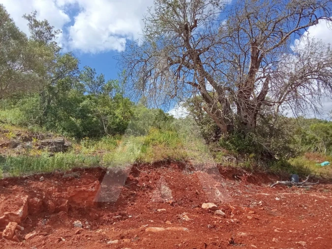 Terreno Agricola ou Rústico para Venda em Paderne Foto 12