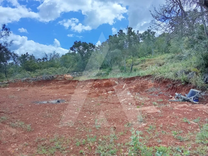 Terreno Agricola ou Rústico para Venda em Paderne Foto 13