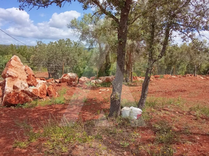 Terreno Agricola ou Rústico para Venda em Paderne Foto 14