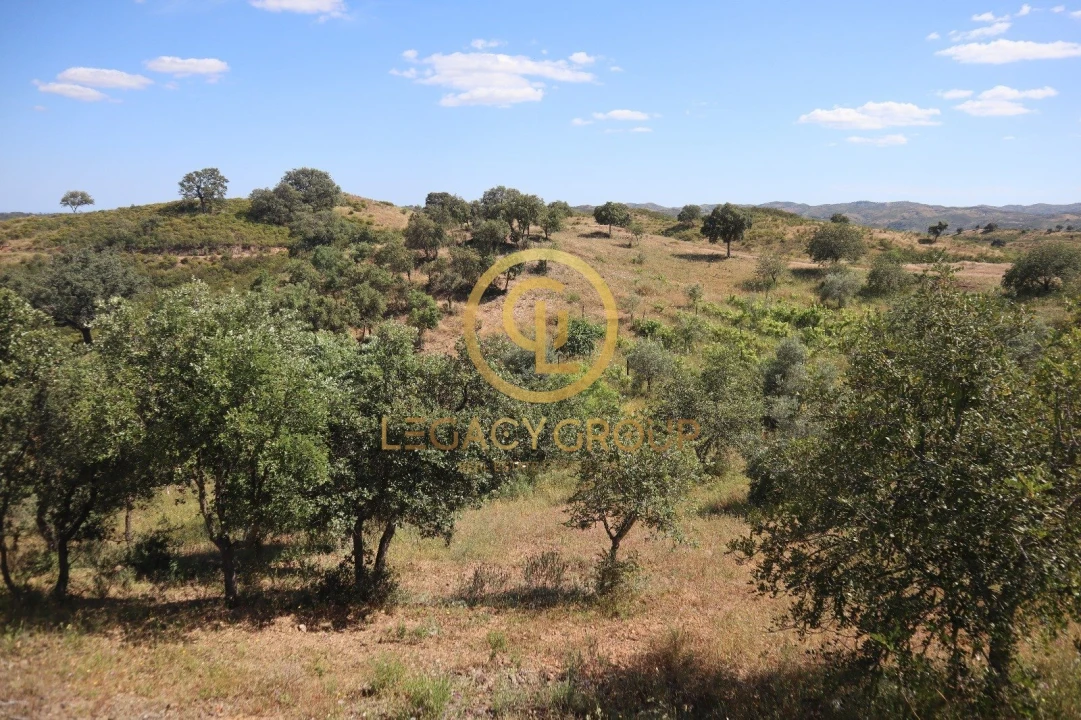 Terreno para Venda em Odeleite Foto 12