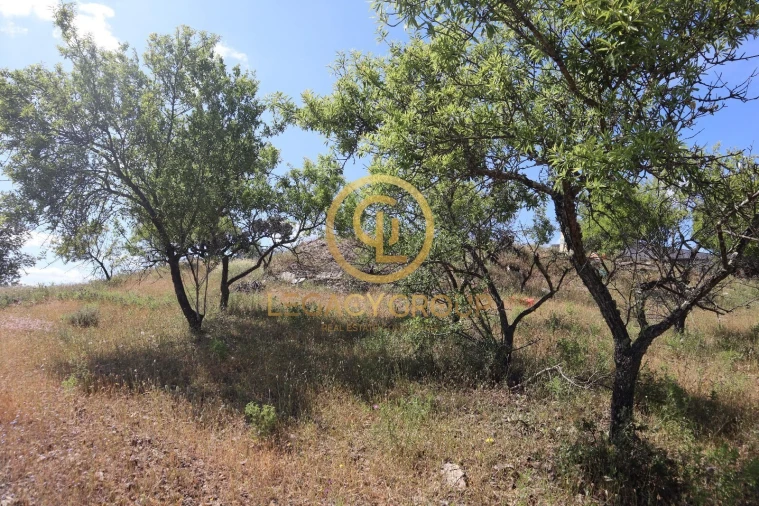 Terreno para Venda em Odeleite Foto 10