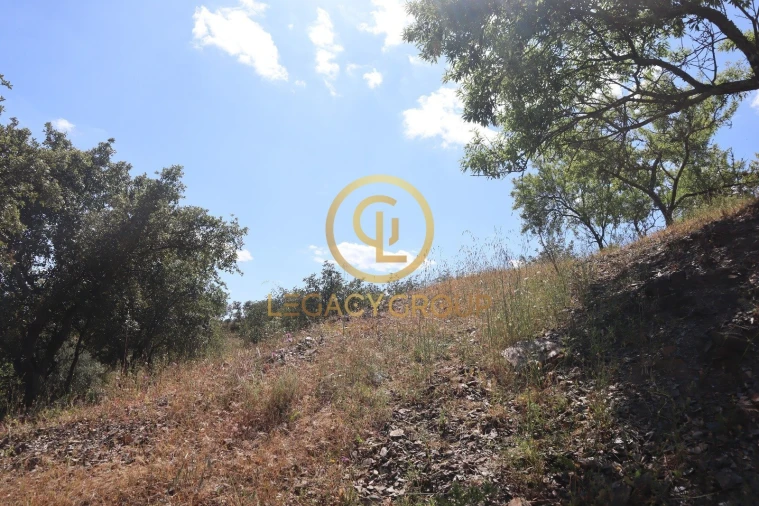 Terreno para Venda em Odeleite Foto 13