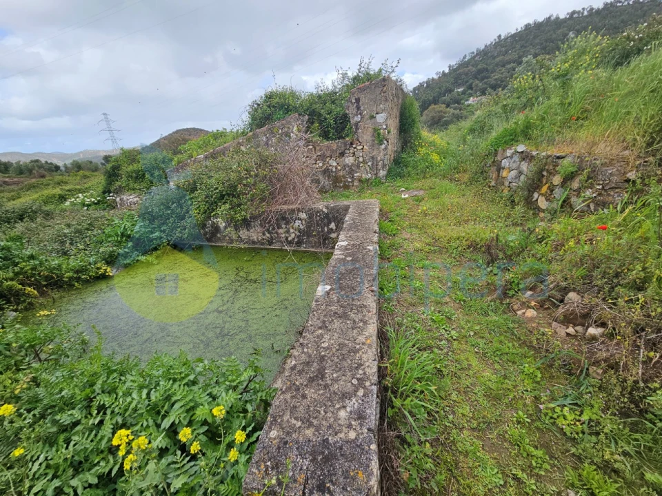 Terreno Agricola ou Rústico para Venda em Alferce Foto 1