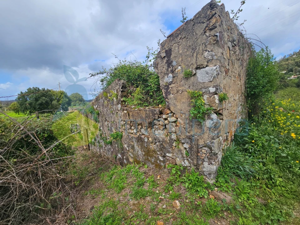 Terreno Agricola ou Rústico para Venda em Alferce Foto 5